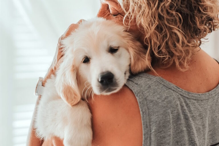 depressieve hond