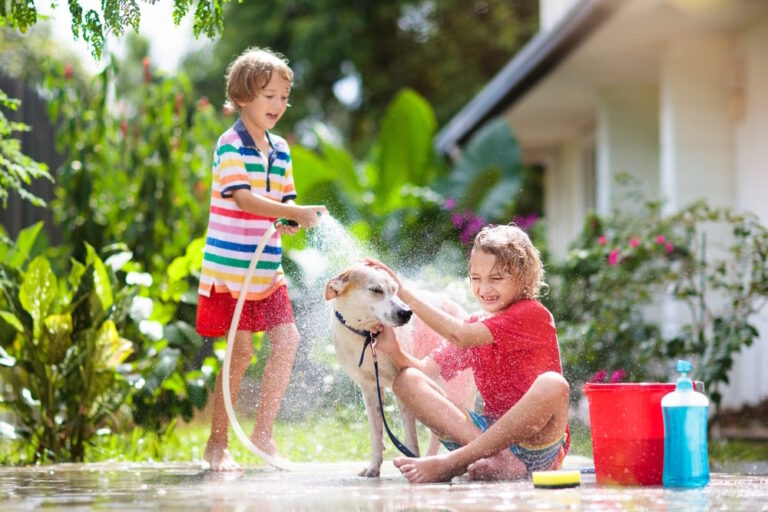 hond en kinderen
