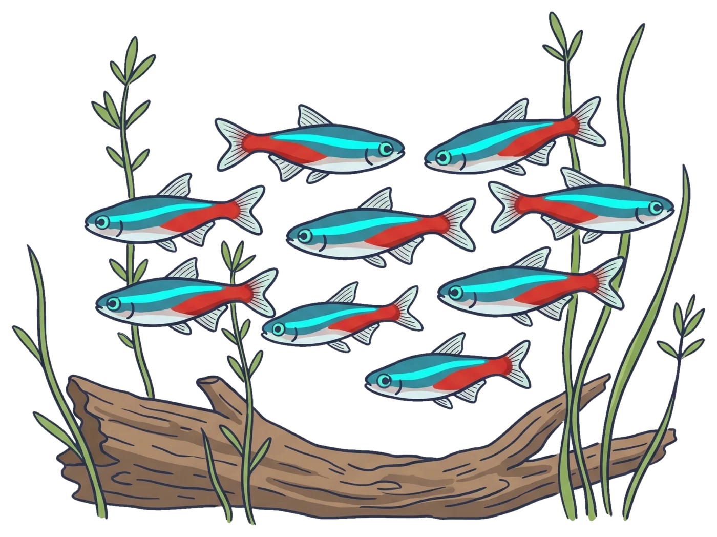 Een school neontetra's tussen waterplanten